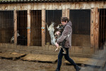 Femeie cu un câine în brațe pe lângă cuști la un adăpost de animale din Ucraina.