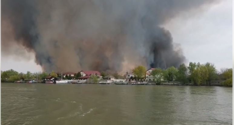 Incendiu într-o zonă protejată din Delta Dunării. Flăcările s-au extins în apropierea unei localități