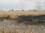 incendiu delta2