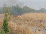 incendiu delta