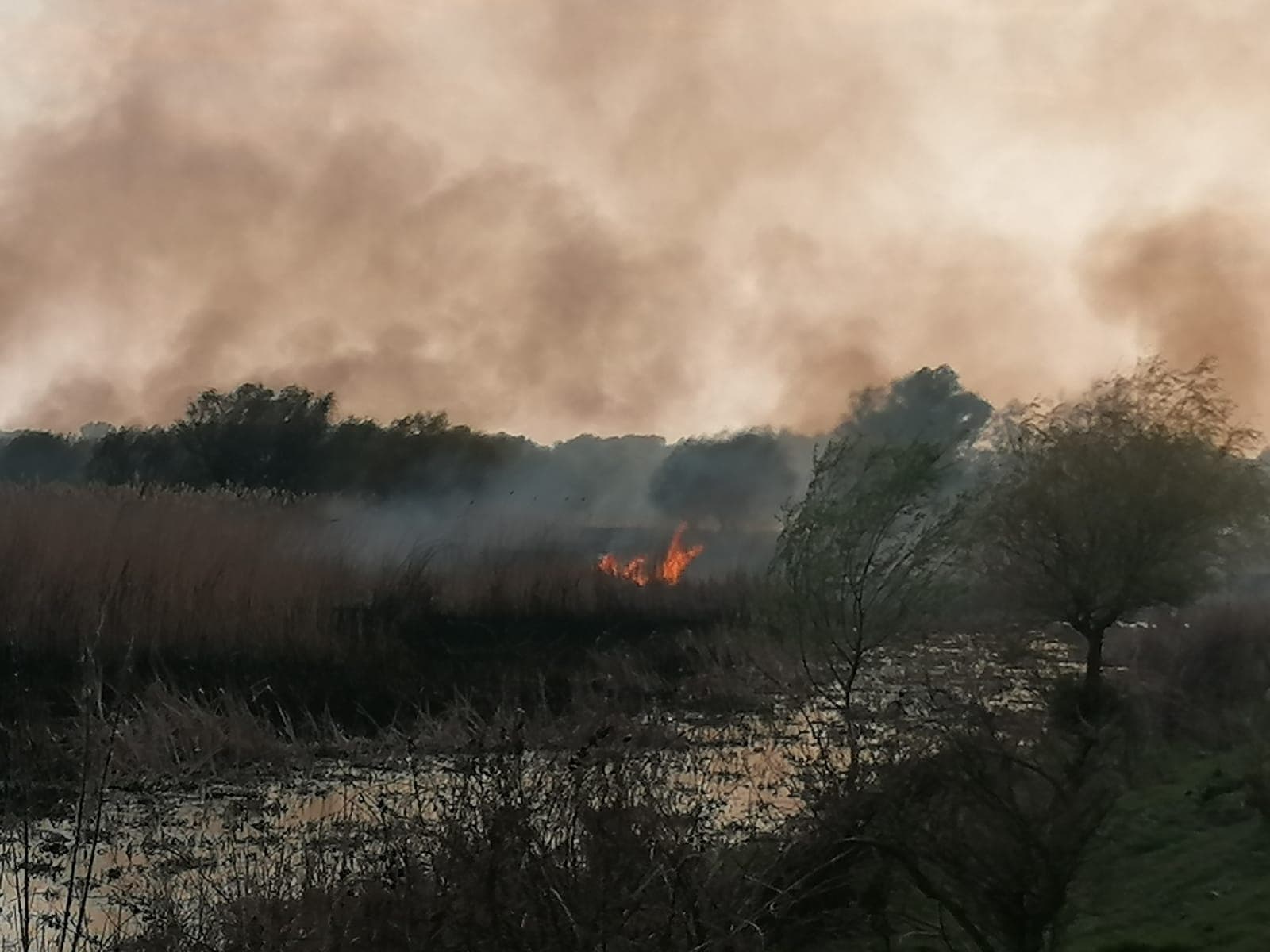 Un bărbat a fost găsit mort pe un teren din Reșița cuprins de un incendiu de vegetație