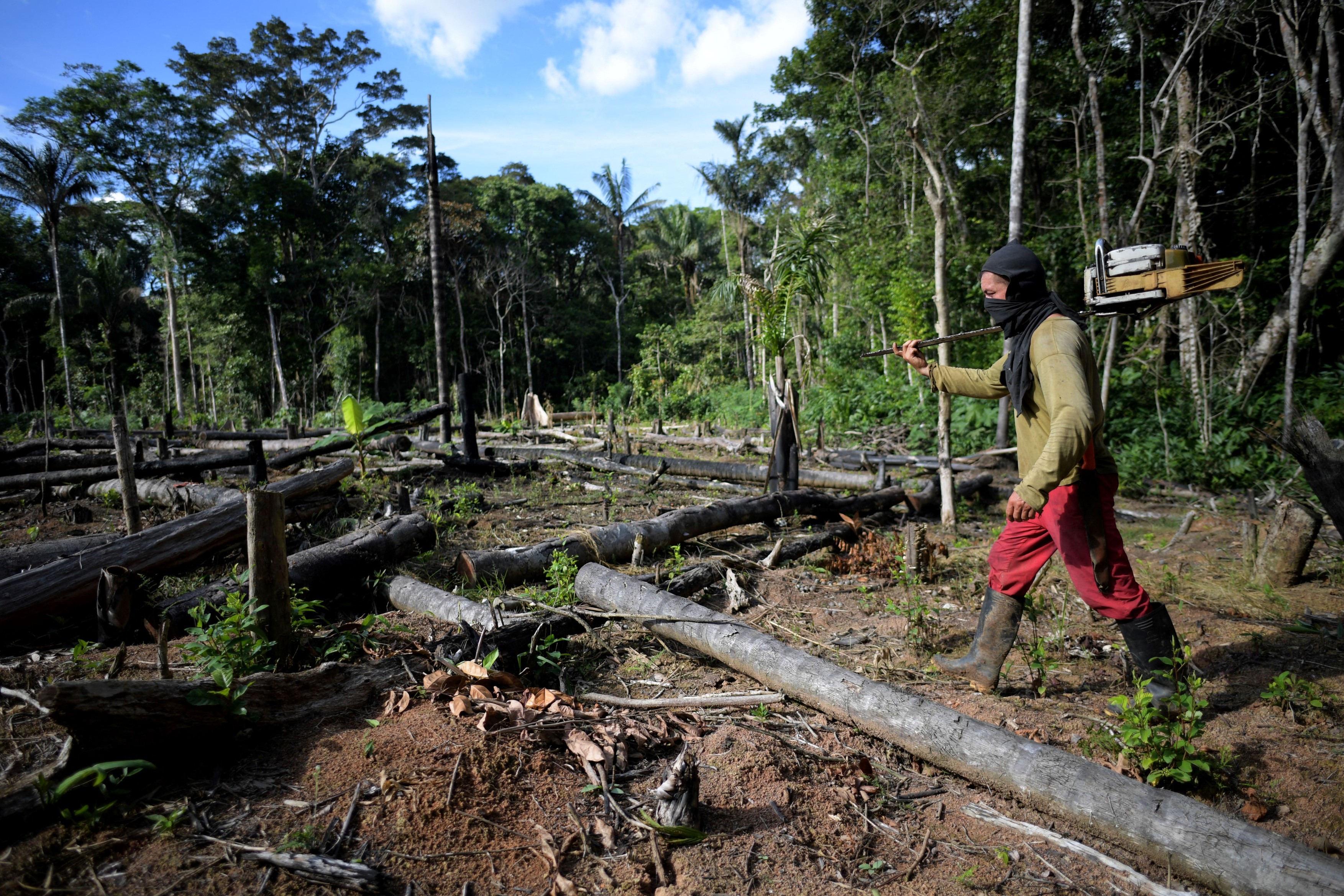 Suprafața de pădure amazoniană defrișată în primele trei luni din 2022 a fost mai mare ca niciodată (CNN)