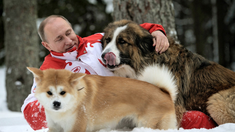 Putin se joacă cu câinii în zăpadă