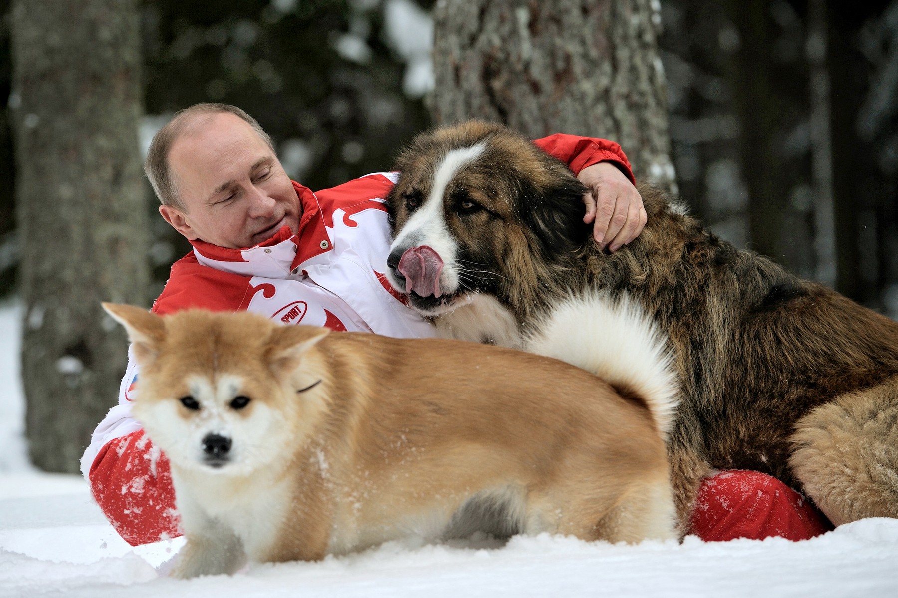 Cine sunt „superfanii” lui Putin care încearcă să promoveze imaginea liderului rus pe Facebook (investigație BBC)