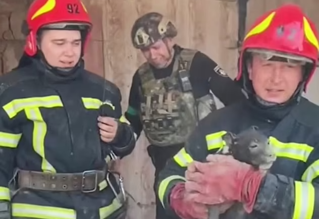 Imagini impresionante cu un cățeluș scos în viață de sub dărâmături, în Donețk