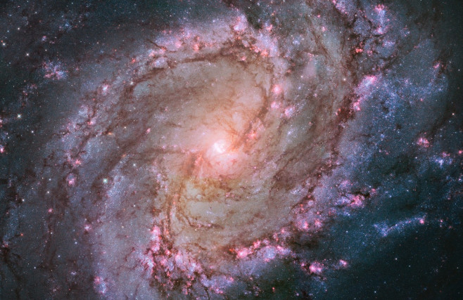 Hubble views stellar genesis in the Southern Pinwheel - 09 Jan 2014