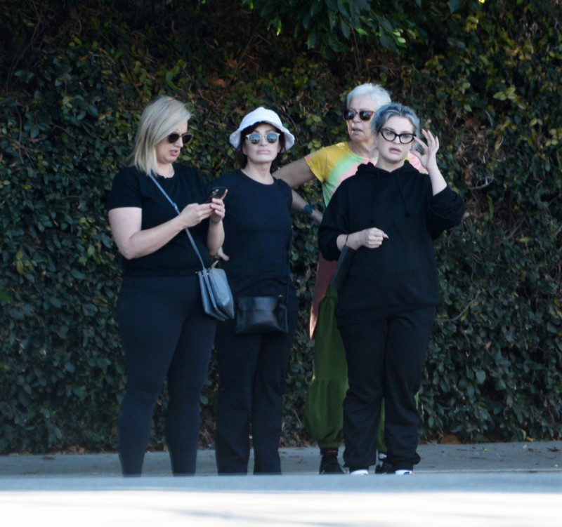 EXCLUSIVE: Kelly Osbourne is Spotted For The First Time in Months on a Stroll in Los Angeles