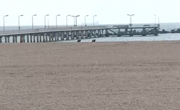 Ministerul Mediului: Plajele de pe litoral sunt gata să primească turiștii
