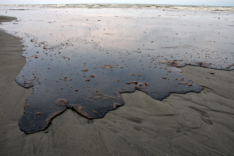 Deepwater Horizon Oil Spill