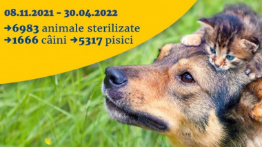 Afis pentru sterilizarea animalelor.