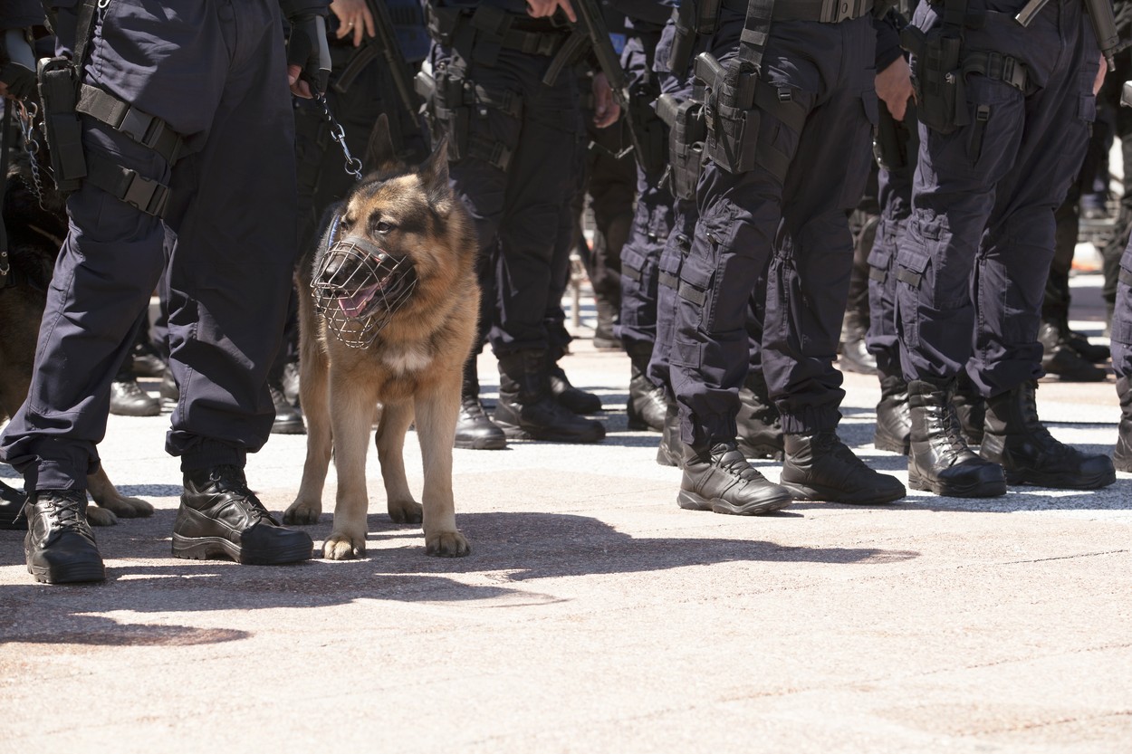 Un traficant de droguri din Franța a scăpat de acuzare după ce câinele polițiștilor a mâncat o parte din captură