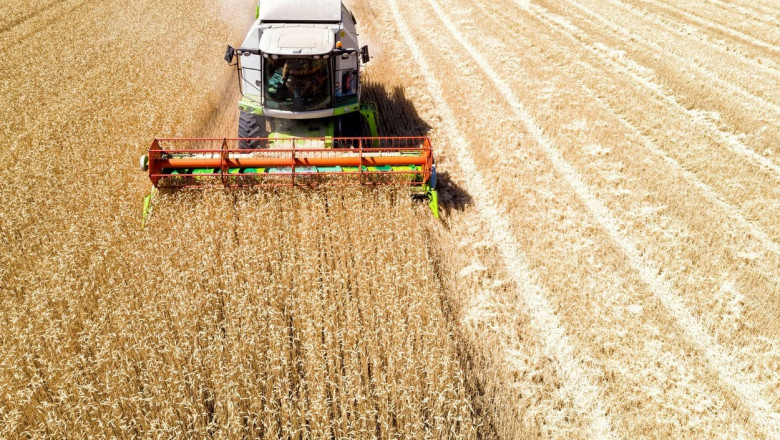 ONU: 25 de milioane de tone de cereale sunt blocate în Ucraina din cauza războiului