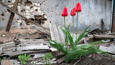 război in ucraina