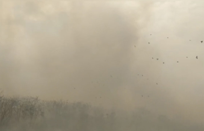 Wildfires inferno Russia