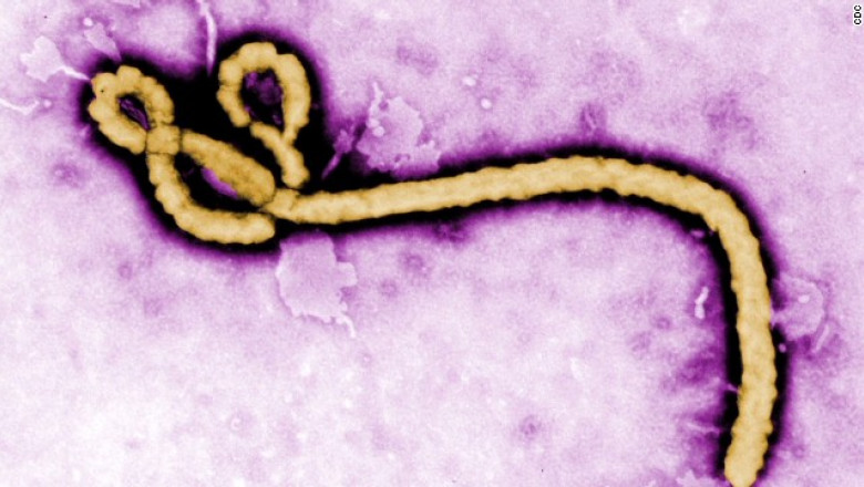 virus ebola 30.12