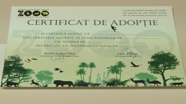 certificat de adoptie