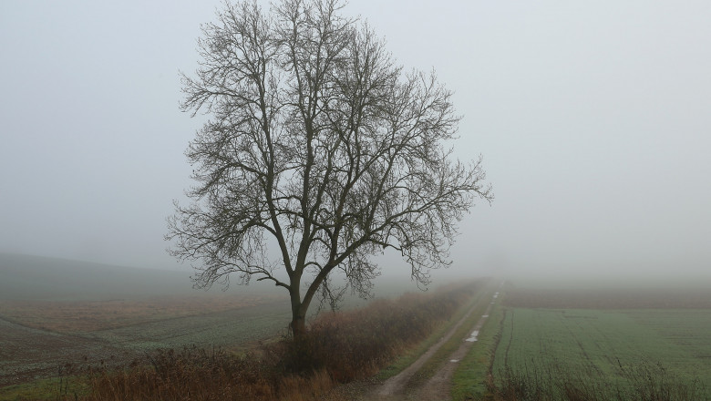 Ceata meteo vremea - Guliver GettyImages-1