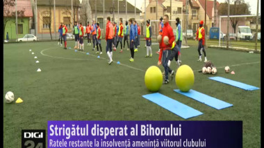 sport FC Bihor ajutor 300115