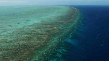 marea bariera de corali - getty