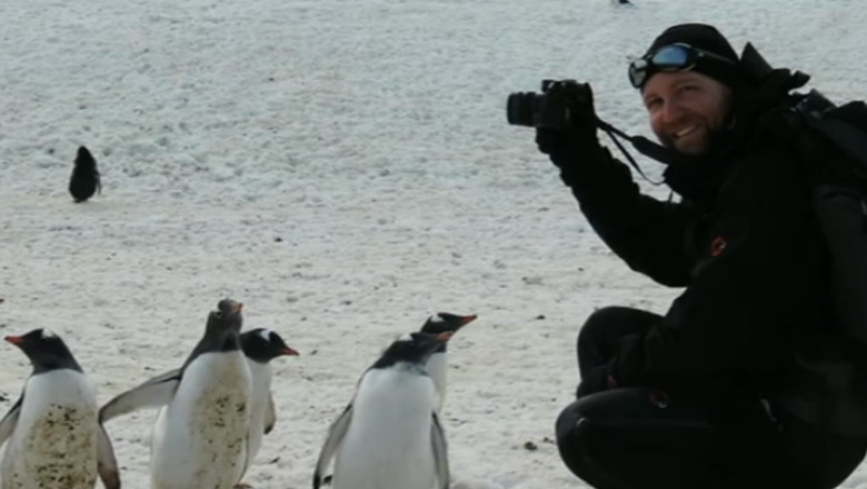 expeditie pinguini