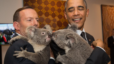 obama si tony abott cu koala in brate - getty