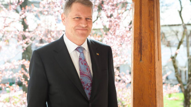 iohannis flori zambitor