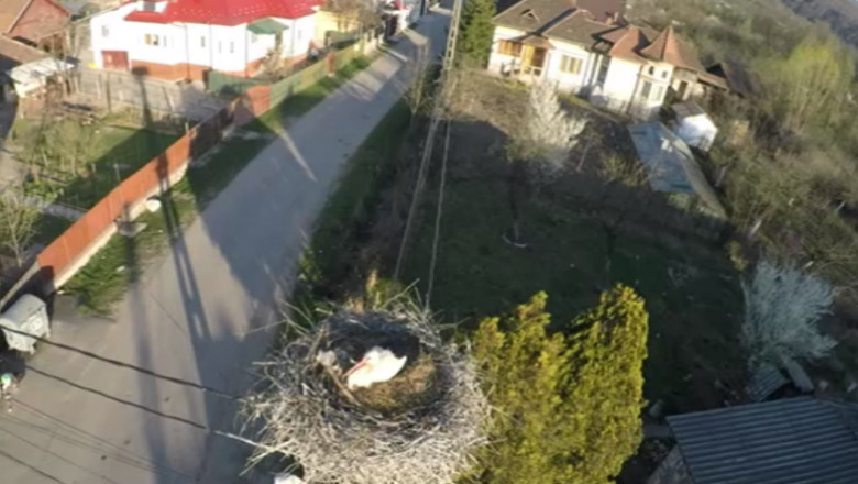 barza filmata cu drona