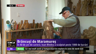 Brancusi de Maramures 290515