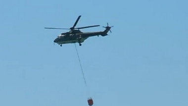 captura elicopter galeata de apa adapat vaci elvetia 23 07 2015