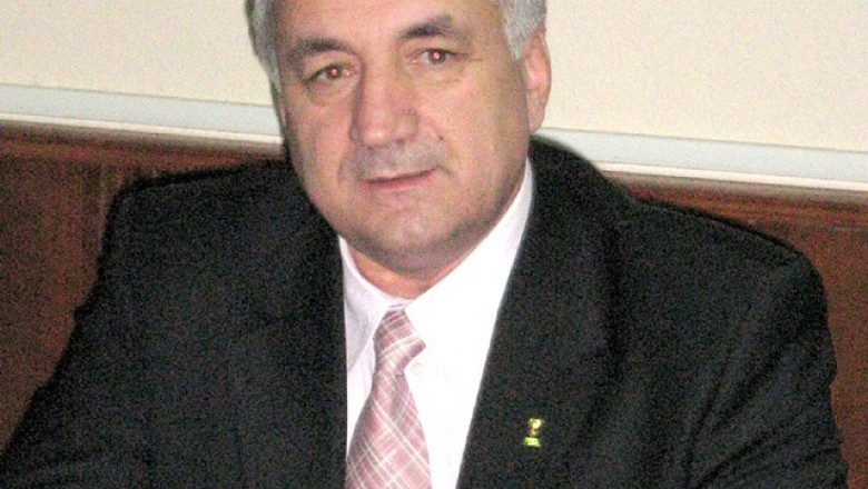 constantin hogea