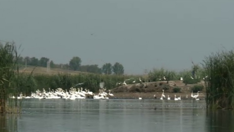 jijia mica delta a moldovei 08 08 2015 captura