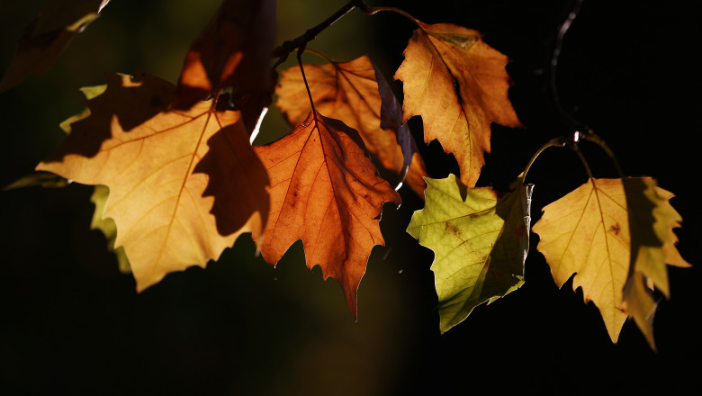 Toamna vremea meteo GettyImages august 2015 2