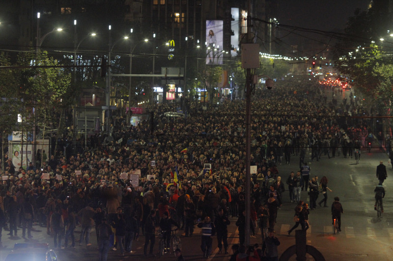 Proteste Bucuresti Adriana Neagoe 033