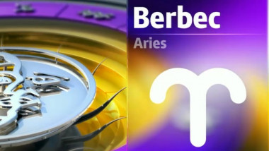 berbec-1