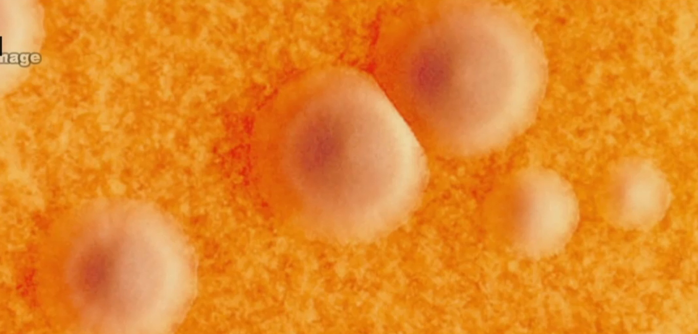 Panica la granita cu Ucraina, din cauza unei boli extrem de contagioase. Masurile anuntate de Ministerul Sanatatii