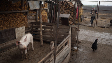 Ferma mica fermier agricultura - Guliver GettyImages