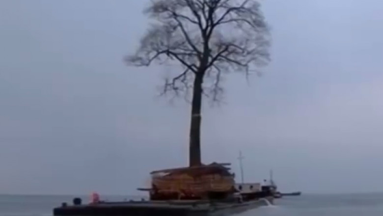 copac plutitor