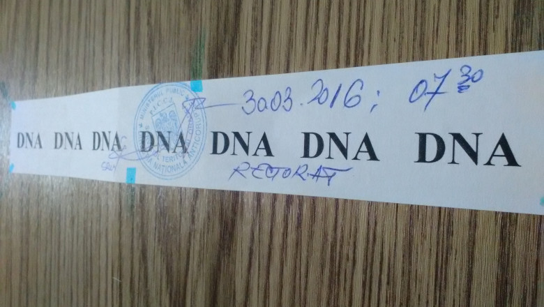 Universitate descinderi DNA2