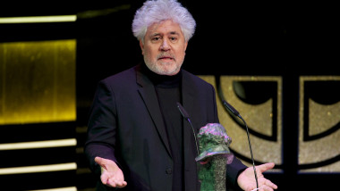 GettyImages almodovar