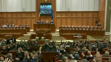 parlament parlamentari vot