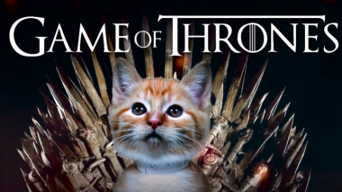 game of