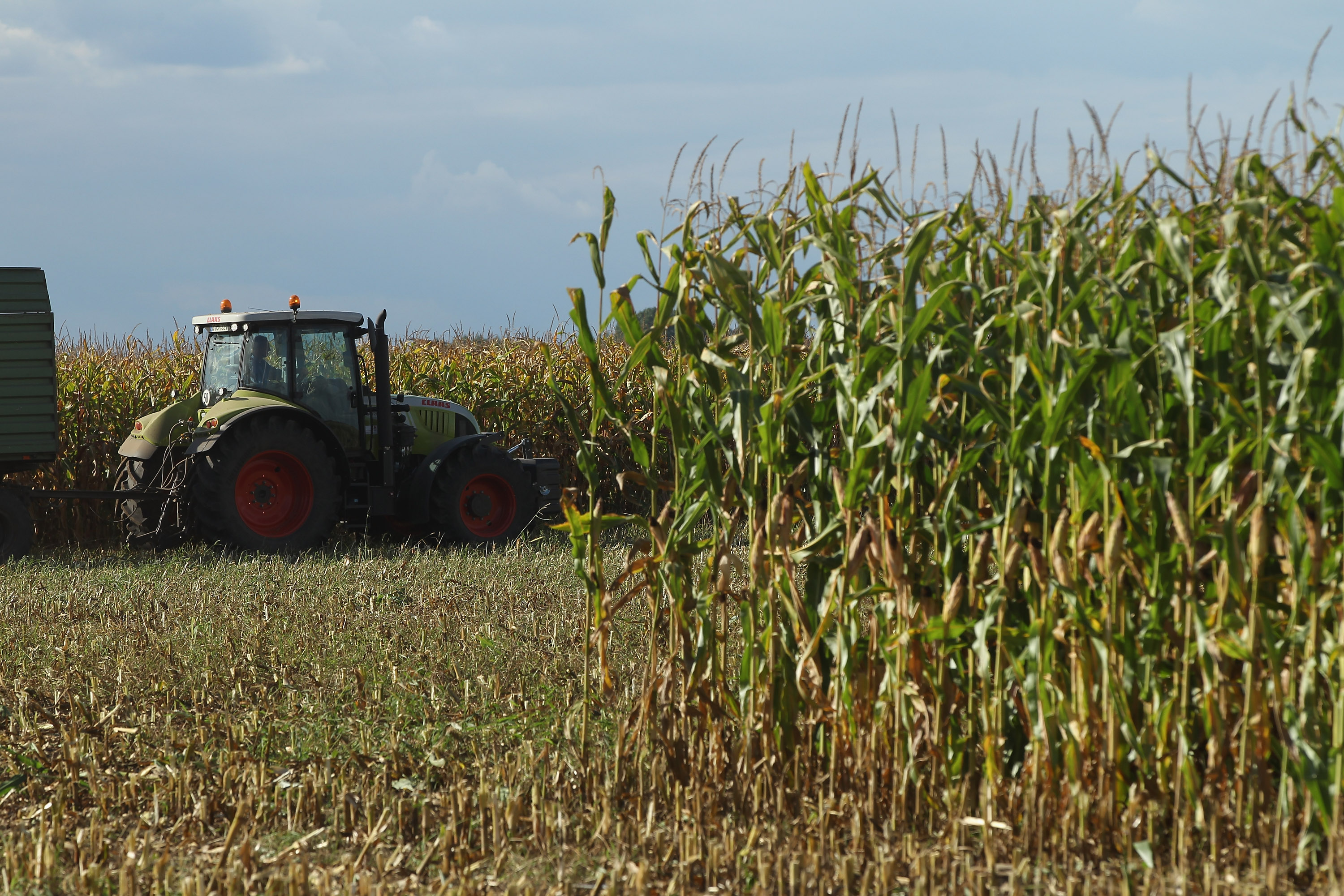 România a fost al șaptelea producător agricol din Uniunea Europeană, anul trecut