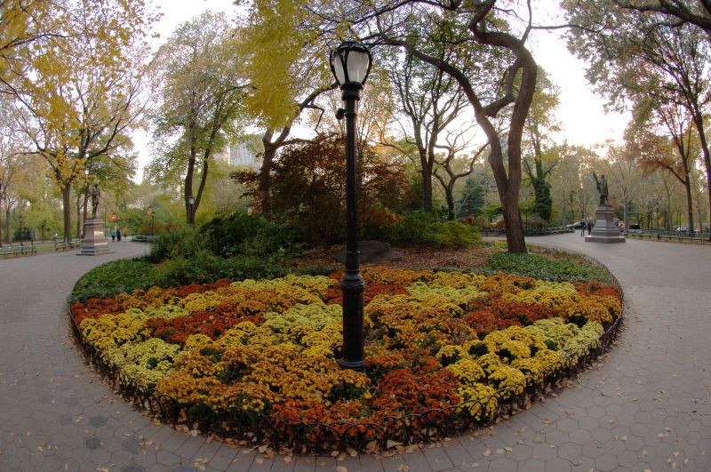 central park6