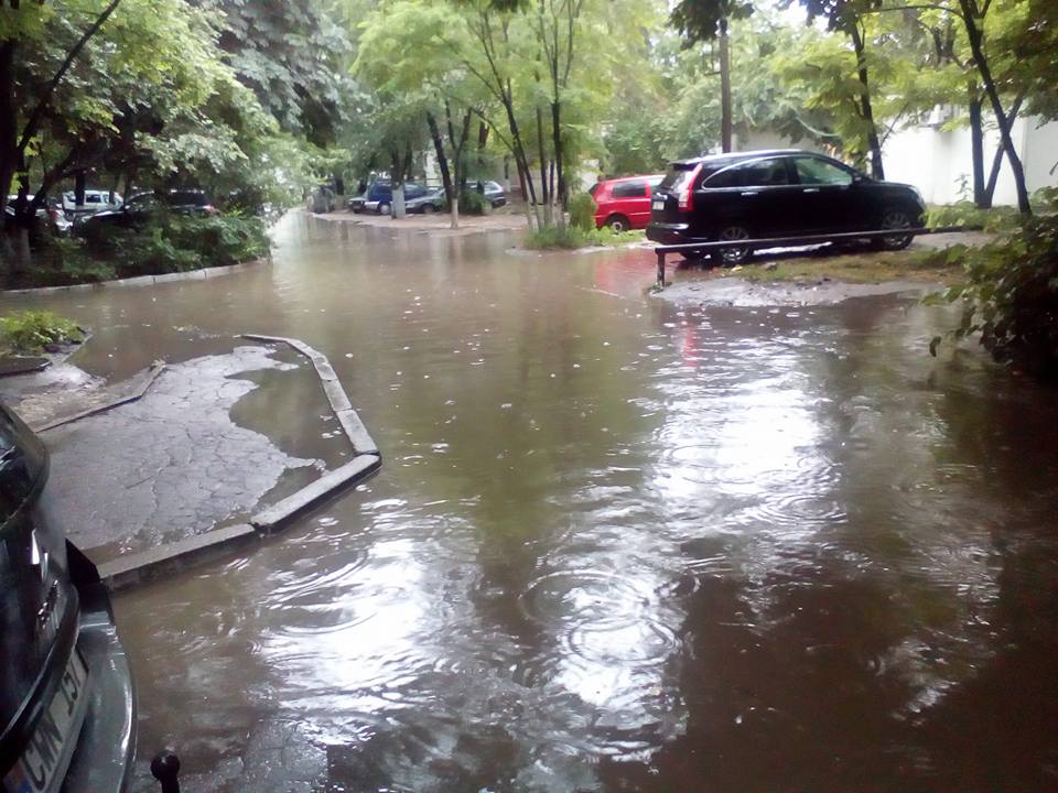 PLOAIE CHISINAU - DIANA GUJA FACEBOOK