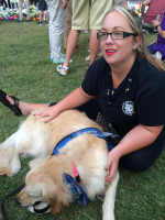 katie comfort dog