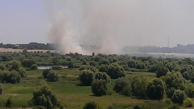 incendiu delta vacaresti 4