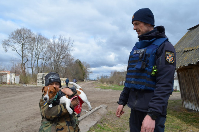 Patron The Minesweeping Dog Helps Keep Kids Safe From Russian Explosives