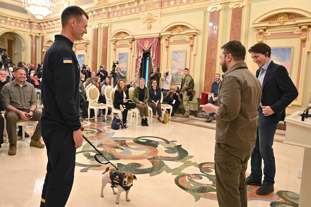 Patron (Glonț), câinele care găsește bombe, a fost decorat de președintele  Zelenski în prezența premierului Canadei | Digi24