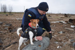Patron The Minesweeping Dog Helps Keep Kids Safe From Russian Explosives