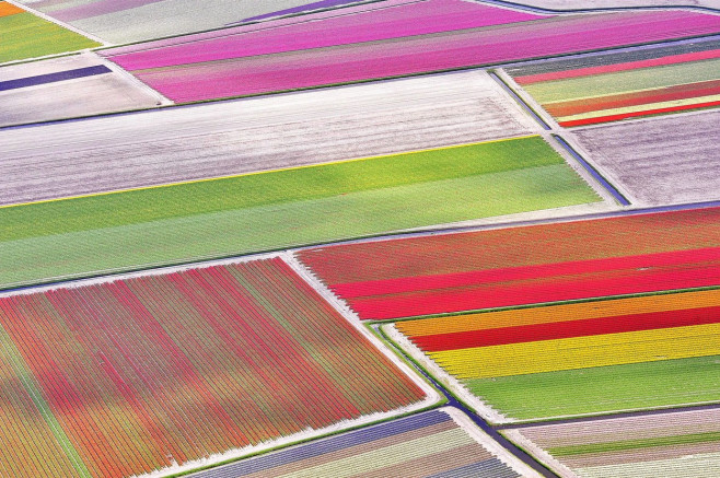 Aerial view of tulip fields, Netherlands - 30 Apr 2013